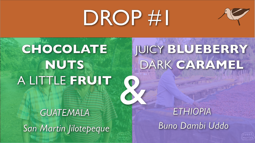 DROP #1: Chocolate & Blueberry